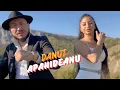 Download Lagu ❌Danut Apahideanu ❌ Fântâna cu lovele [videoclip oficial ]