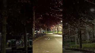 وأنت الطريق وأنت الصديق 