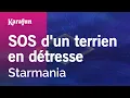 Download Lagu Karaoke SOS d'un terrien en détresse - Starmania *