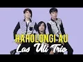 Download Lagu Lagu Batak Paling Mantap -  HAHOLONGI AU -  Las Uli Trio