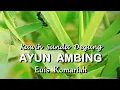 Download Lagu degung sunda ayun ambing matak waas | musik sunda degung kawih