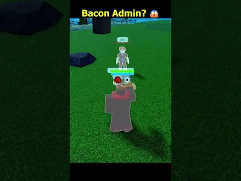 I found Bacon Admin in Blox Fruits