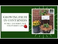 Growing Fruit In Containers Bushel and Berry Strawberries Patio Gardening