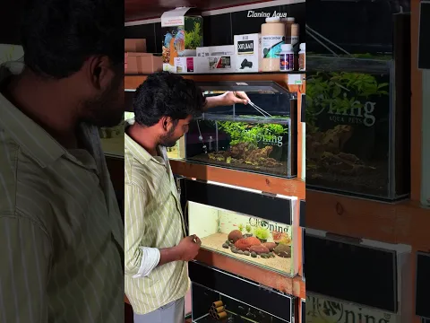 இந்த தப்பு நீங்களும் பண்ணாதீங்க #aquarium # #fishtank # #aquascapegallery # #cloning
