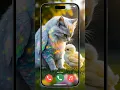 Download Lagu Catcall #nocomment #aicat #monkcall #monk #ringtone #ringtones #catcall