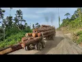 Download Lagu TRUCK LOGGING 3836 NANJAK BUKIT🤑