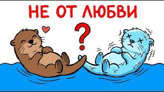 Почему выдры держатся за лапки — и это не мило
