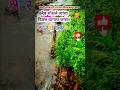 Download Lagu 6देव शोधले त्याचा दिवस चांगला जाईल #shriswamisamarth #shriswami #youtubeshorts #श्रीस्वामीसमर्थ