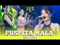 Lagu PUSPITA NALA - SEO GIRLS [ SEO MUSIC LIVE SURABAYA ]