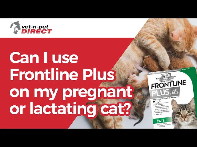 Frontline Plus for Cats