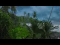 Rain Noise & Ocean Waves for Deep Sleep