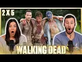Download Lagu WTF IS IN THAT BARN?! | The Walking Dead 2x5 Reaction