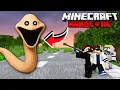 Lagu MEMBURU ANOMALI CACING BESAR MENYERAMKAN DI MINECRAFT