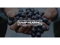 SNAP Hearing