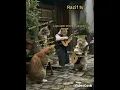 Download Lagu kucing nyanyi lagu xpdc titian perjalanan...tribute to mael xpdc #maelxpdc #kitapengyu