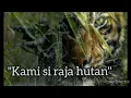 Download Lagu Yel yel \