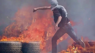 قوم تحرك ميرال عياد Miral Ayyad Oum Tharak 