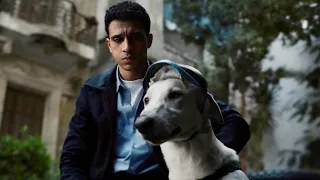 شاب غلبان بيدور علي طريقة لأنقاذ كلبه من بلطجي المنطقة بعد ما انقذه منه 