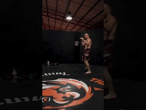 Мощная подготовка Петра Яна #ufc #ufc #petryan