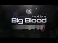 Download Lagu DJ Big Blood - Ladies (Official Music Video)