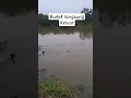 cara memanggil bu4y4