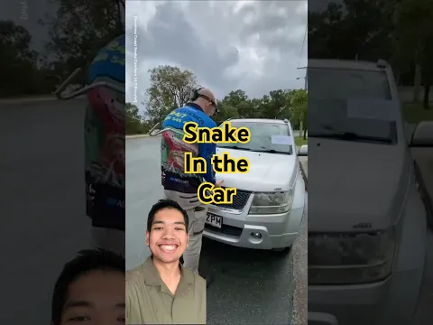 Snake in the car #viralvideos #experimnent #shorts