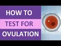 How to Take an Ovulation Test Clearblue for Pregnancy Ovulation Symptoms Test Kit
