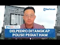 Download Lagu Profil Direktur Lokataru Delpedro Marhaen Jadi Tersangka Provokator Demo Ricuh, Pegiat HAM