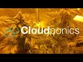 The Cloudponics Grocontrol