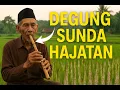 Download Lagu DEGUNG SUNDA HAJATAN JADUL VIRAL SERASA DI KAMPUNG