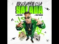 OBSERVANDO ESSA SALADA - MC Cebezinho (DJ Yuri Pedrada)