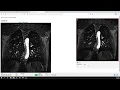 The Annotator - Image Annotation Tool