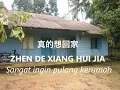 Download Lagu Zhen De Xiang Hui Jia - 真的想回家 - Sangat ingin pulang kerumah