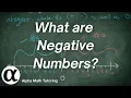 What are Negative Numbers aka Integers