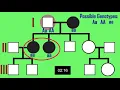 Basics of Pedigree Charts Autosomal Traits