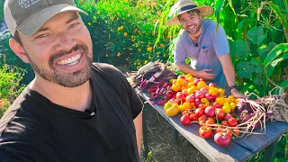 This Tomato Harvest Got Out of Hand…
