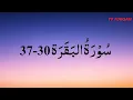 Lagu Fadli Abdullah | Al-Baqarah (30-37)  سُوْرَۃُ البَقَرَة with Urdu/English translation