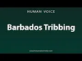 Download Lagu How To Pronounce Barbados Tribbing