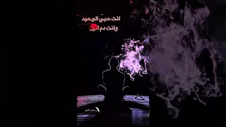 انت حبي الوحيد ونص الخاتام 