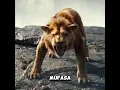 Download Lagu Controversial MUFASA Trailer Changes ICONIC Lion King Scene... #shorts