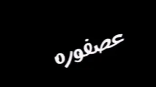 اغنيه عصفوره بتنقل الكلام دي مش رجوله  اغنيه عصفوره بتنقل الكلام دي مش رجوله