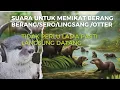 Download Lagu suara berang berang/pikat berang berang/lingsang/sero/Otter/suara buat panggil