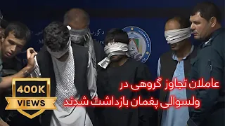 عاملان تجاوز گروهی در ولسوالی پغمان بازداشت شدند  عاملان تجاوز گروهی در ولسوالی پغمان بازداشت شدند