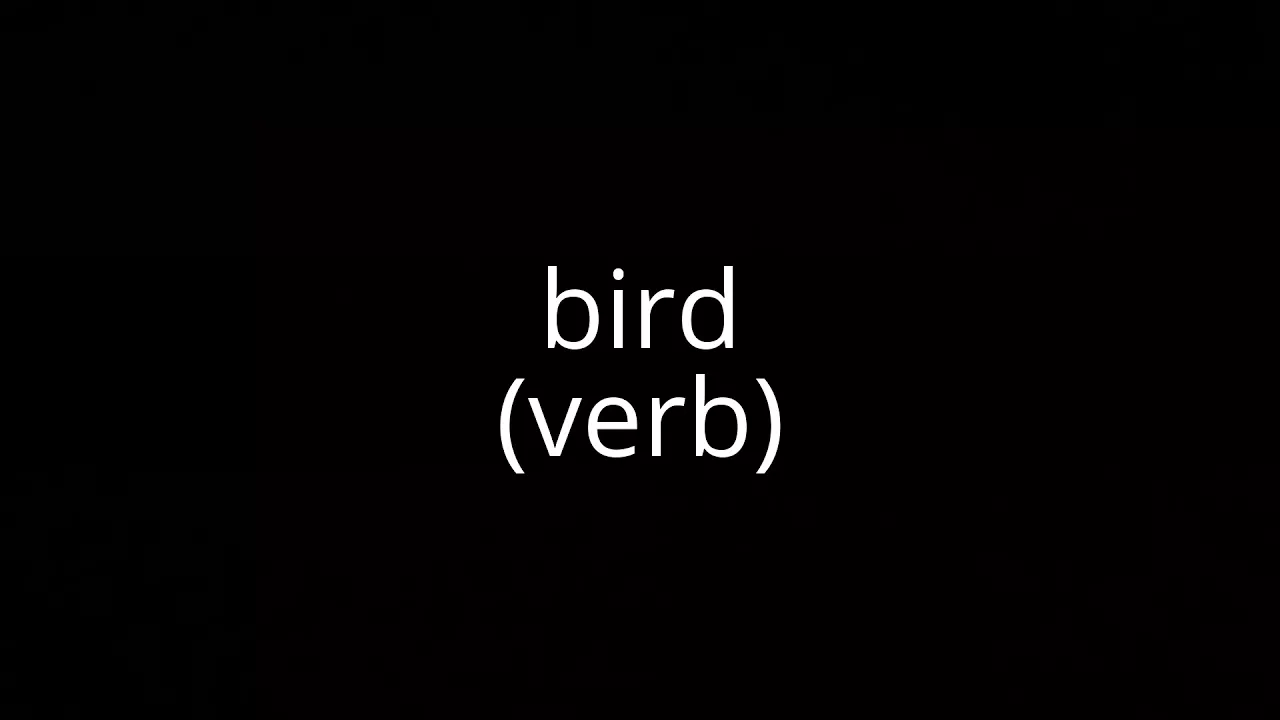 bird (verb)
