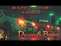 Download Lagu Back to the Jungle 🌴💽 | 2 hours Classic 90’s Jungle Drum \u0026 Bass 🔥 | Rave Vibes 90’s Style 🎧