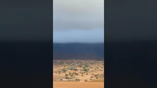 لا احصي الشكر 