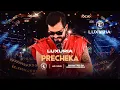 Lagu Luxúria - Precheka (Clipe Oficial)