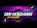 DJ SANI SU BERJUANG AIS PERCUMA MENGKANE REMIX VIRAL TIKTOK TERBARU 2022 FULL BASS