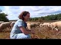 Download Lagu Pareltjes van Gelderland 26 augustus 2018