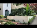Washington D C Exotic Palm and Succulent Garden